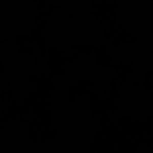 Meet your Posher, Damuari